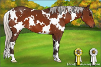 Horse Color:White Spotted Silver Brown