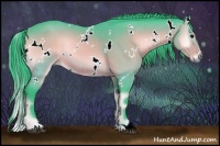 Horse Color:Watercolor White Spotted Brown Onyx 