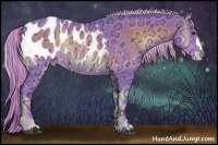 Horse Color:Watercolor Chocolate Palomino Ice Onyx Appaloosa Rabicano 