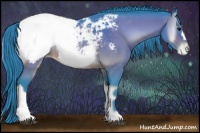 Horse Color:Watercolor Brown Onyx Appaloosa 