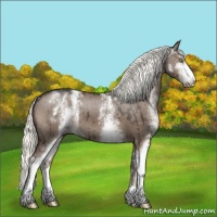 Horse Color:White Spotted Liver Red Dun Sabino