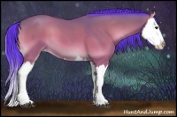 Horse Color:Watercolor Bay Roan Onyx Splash 