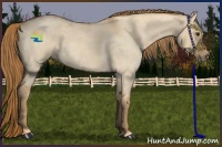 Horse Color:Red Dun Roan 