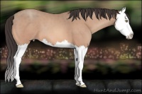 Horse Color:Sable Champagne Splash 