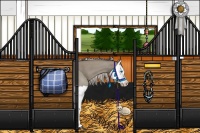 Horse Color:Silver Grullo Splash