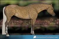 Horse Color:Silver Buckskin Dun Tobiano 