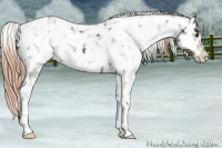 Horse Color:Liver Chestnut Tobiano Snowflake Varnish