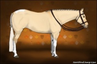 Horse Color:Silver Buckskin Dun Tobiano 
