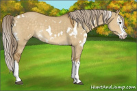 Horse Color:White Spotted Chocolate Palomino Dun Splash 