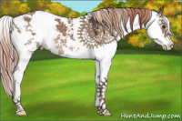 Horse Color:Liver Red Dun Sabino 