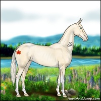 Horse Color:Palomino Pearl 