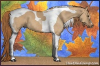 Horse Color:Red Dun Tobiano 