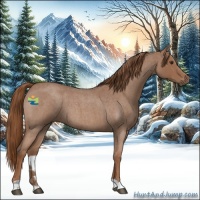 Horse Color:Red Roan 