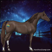 Horse Color:Liver Red Roan 