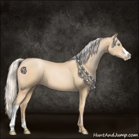 Horse Color:Silver Smoky Black Pearl 