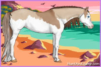 Horse Color:Red Dun Splash  and Red Dun Splash 