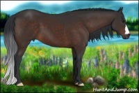 Horse Color:Brown 