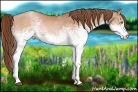 Horse Color:White Spotted Brown Pearl 