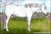Horse Color:Liver Chestnut Sabino