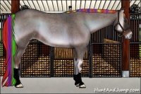 Horse Color:Painted Liver Red Onyx Roan 