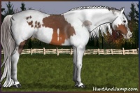 Horse Color:Bay Splash Tobiano Appaloosa  and Bay Splash Tobiano Appaloosa 