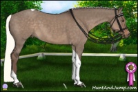 Horse Color:Liver Red Dun Tobiano 
