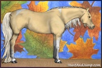 Horse Color:Palomino Tobiano 
