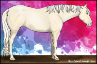 Horse Color:Palomino Pearl 