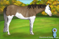 Horse Color:Gray Classic Cream Champagne Splash Rabicano 