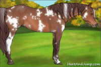 Horse Color:White Spotted Chocolate Bay Mushroom 