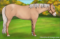 Horse Color:Silver Amber Champagne Frame 