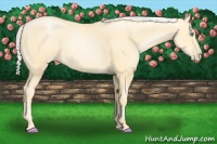 Horse Color:Silver Smoky Black Pearl 