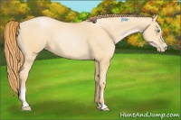 Horse Color:Buckskin Pearl Sabino Rabicano 