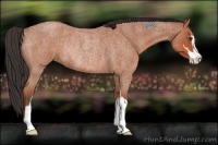 Horse Color:Bay Roan Sabino Rabicano 