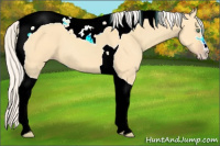 Horse Color:Silver Amber Cream Champagne Dun Sabino Tobiano