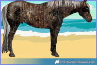 Horse Color:Void Silver Buckskin Dun Splash Tobiano and Void Silver Brown Splash Tobiano