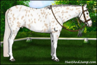 Horse Color:Silver Bay Dun Sabino Tobiano Frame Near Leopard Rabicano 
