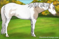 Horse Color:Silver Brown Roan Dun Splash Tobiano Frame 