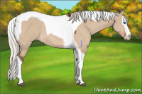 Horse Color:Silver Brown Dun Sabino Splash Tobiano 