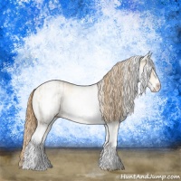Horse Color:White Spotted Red Dun Rabicano  and White Spotted Gold Champagne Dun Rabicano 