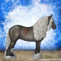 Horse Color:Liver Chestnut Mushroom Rabicano