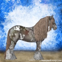 Horse Color:White Spotted Liver Chestnut Ice 