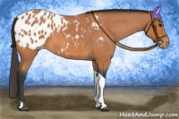 Horse Color:Bay Roan Tobiano Blanket