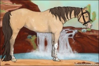 Horse Color:Sable Cream Champagne 
