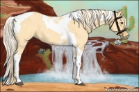 Horse Color:Palomino Dun Tobiano 