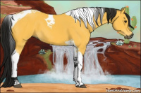 Horse Color:Gray Buckskin Tobiano 