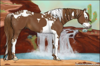 Horse Color:Gray Chestnut Splash Tobiano 