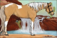 Horse Color:Palomino Tobiano 