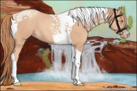 Horse Color:Gold Champagne Tobiano 