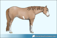 Horse Color:Black Pearl 